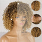 Kinky Curly Wig Product